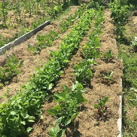 펜션 Maison De Chene