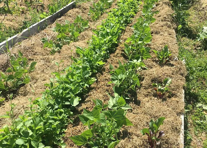 بيت للعطل Maison De Chene